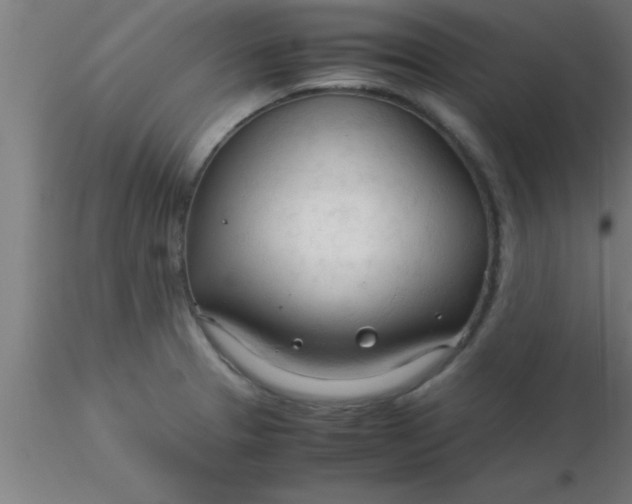 X0000116371329200912231308