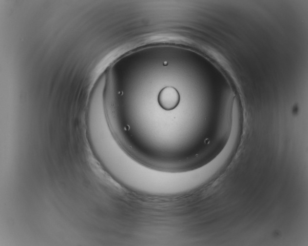 X0000116371330200912231308