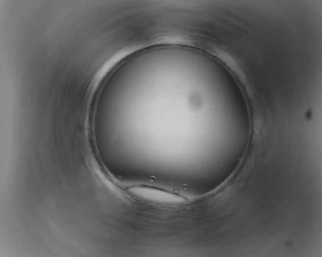 X0000116371331200912231308