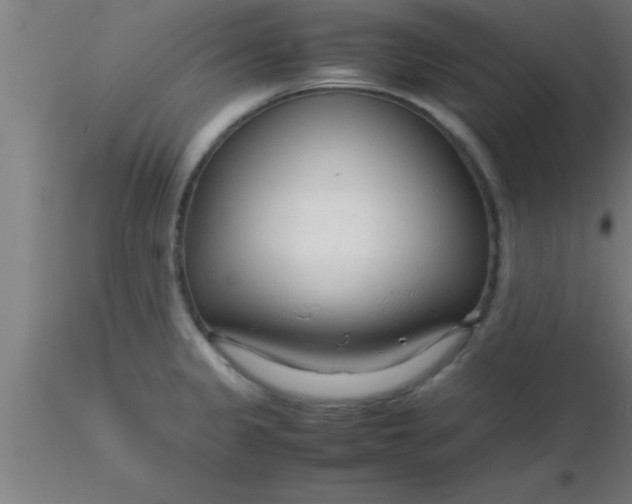 X0000116371333200912231308