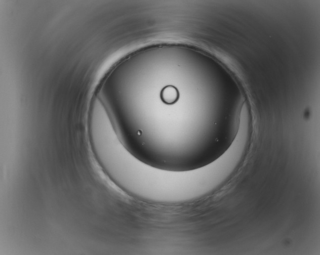 X0000116371334200912231308