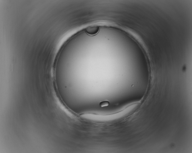 X0000116371335200912231308