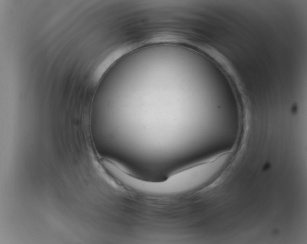 X0000116371337200912231308