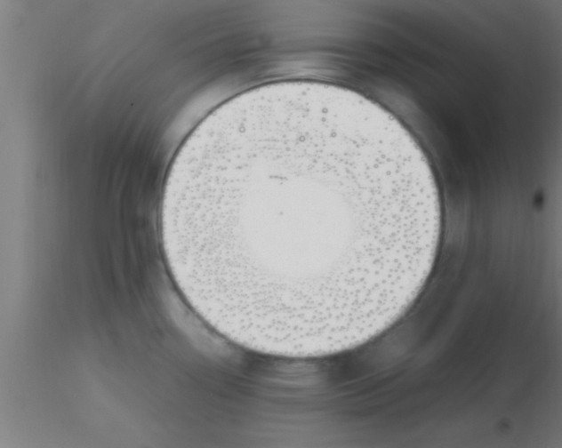 X0000116371338200912231308