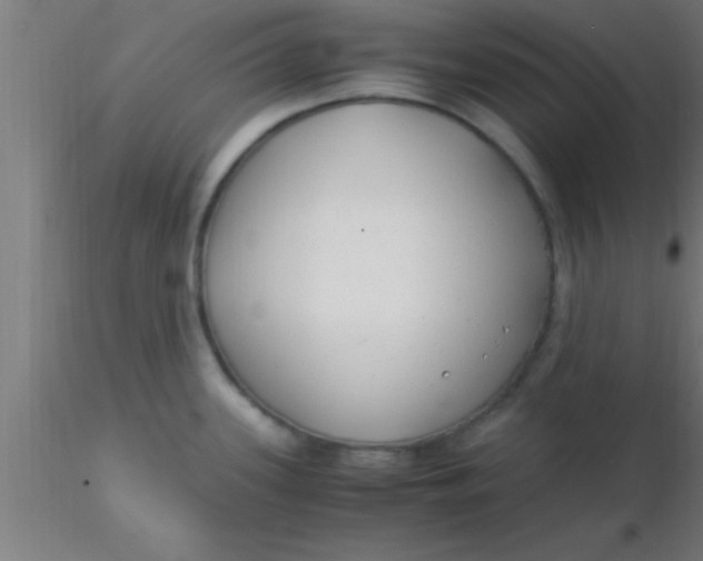 X0000116371339200912231308