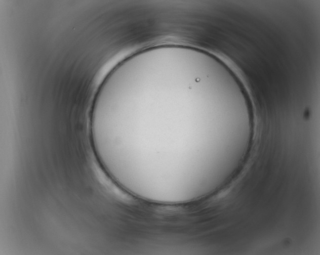 X0000116371341200912231308