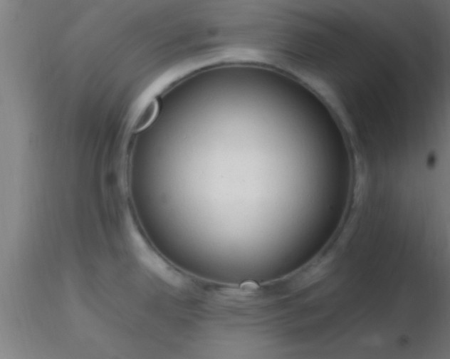 X0000116371342200912231308