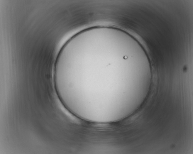 X0000116371343200912231308