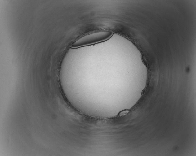 X0000116371345200912231307