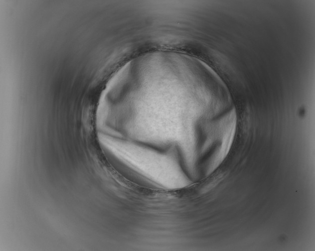 X0000116371346200912231307