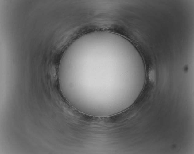 X0000116371347200912231307