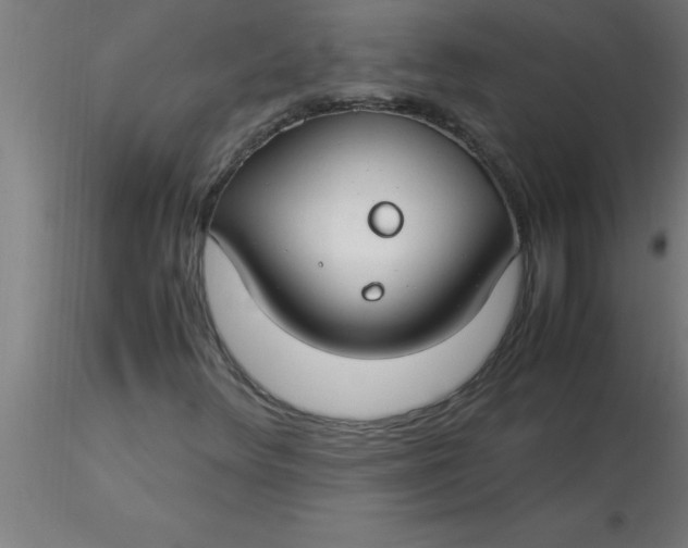 X0000116371348200912231307