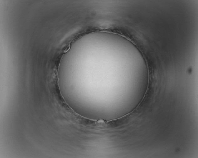 X0000116371349200912231307