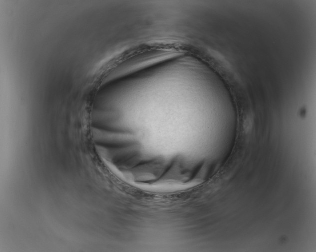 X0000116371350200912231307