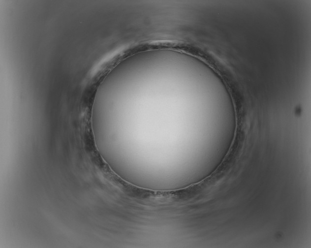 X0000116371351200912231307