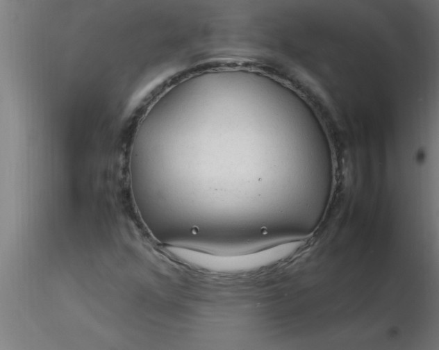 X0000116371352200912231307