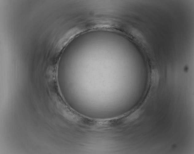 X0000116371353200912231307