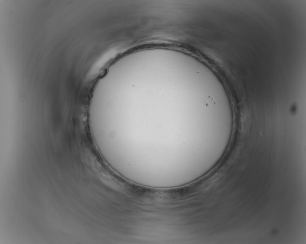 X0000116371355200912231307