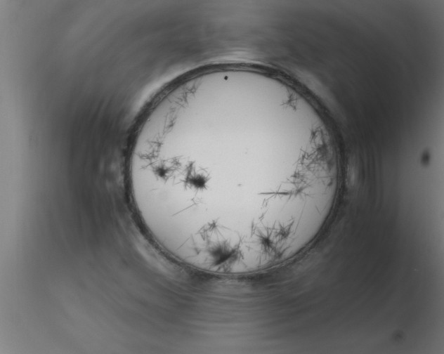 X0000116371356200912231307