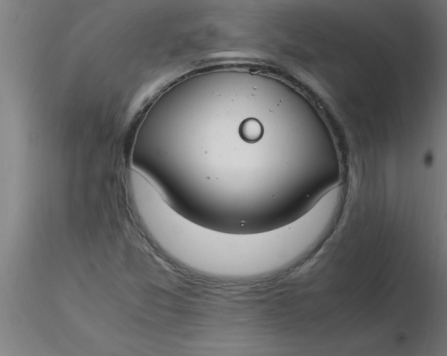 X0000116371357200912231307