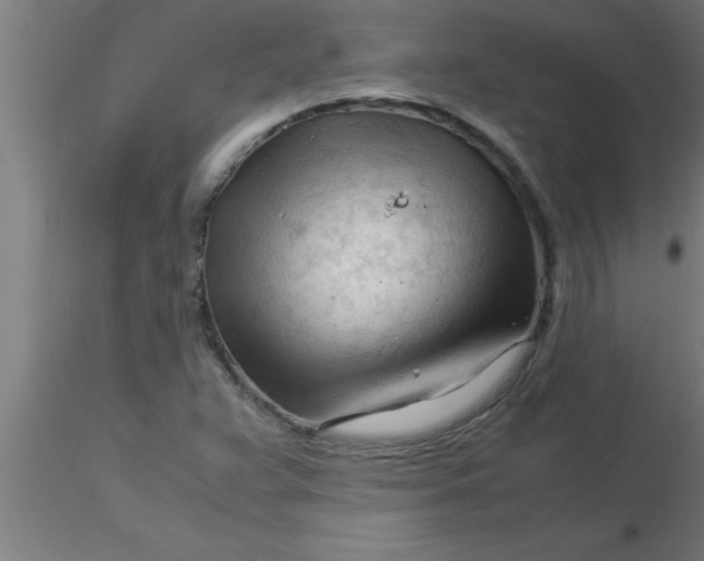 X0000116371359200912231307