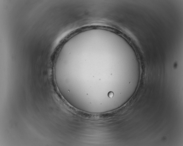 X0000116371360200912231307