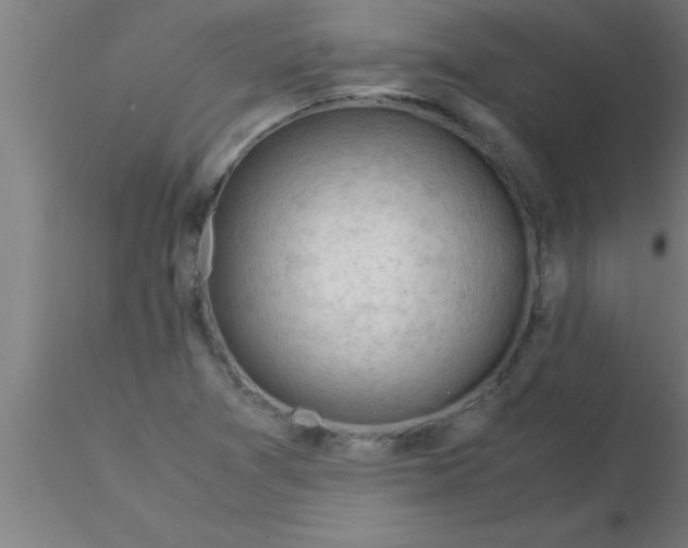 X0000116371361200912231307