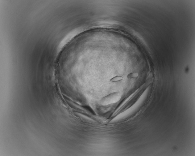 X0000116371362200912231307