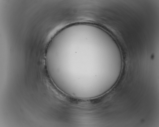 X0000116371363200912231307