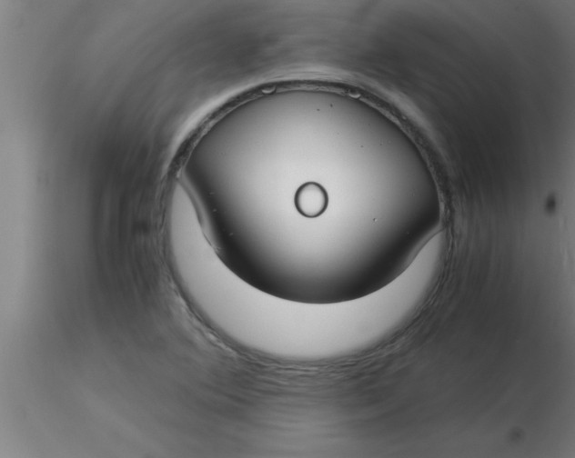 X0000116371364200912231307