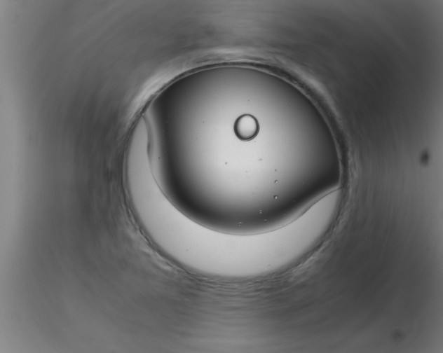 X0000116371365200912231307