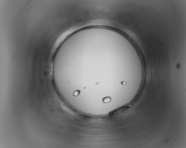 X0000116371366200912231307