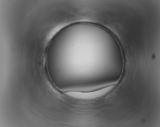 X0000116371367200912231307