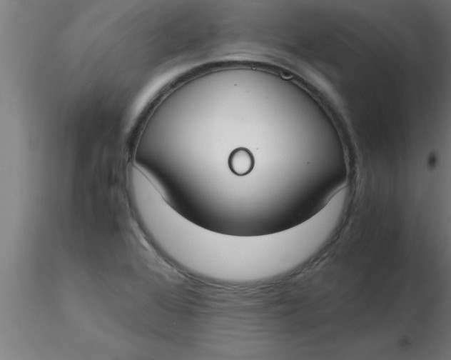 X0000116371368200912231307