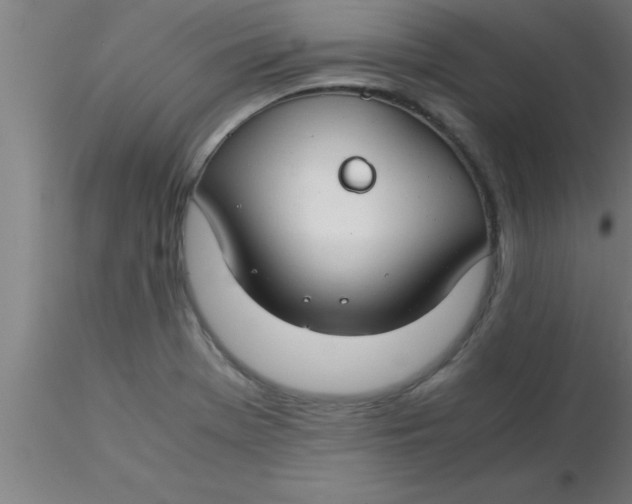 X0000116371369200912231307