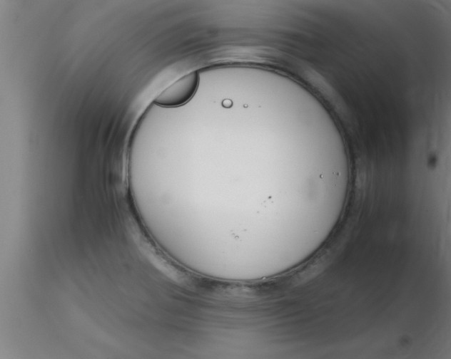 X0000116371370200912231307