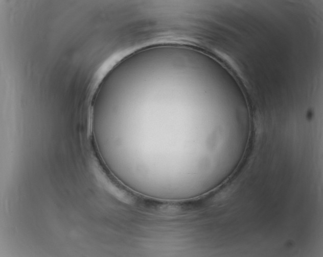 X0000116371371200912231307