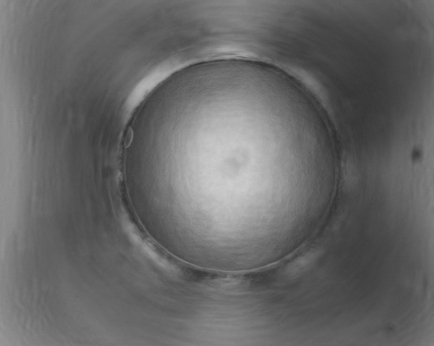 X0000116371373200912231307