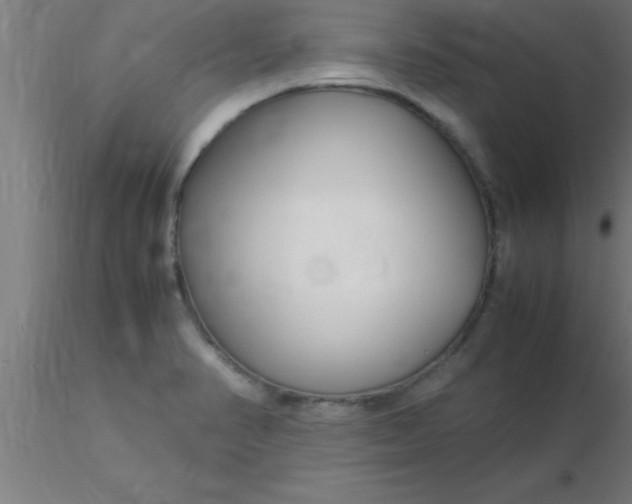 X0000116371374200912231307