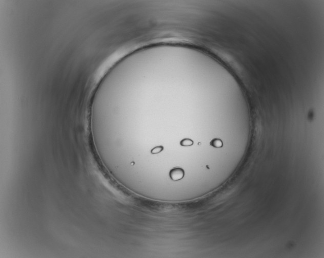 X0000116371375200912231307