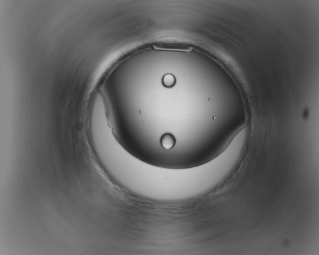 X0000116371376200912231307