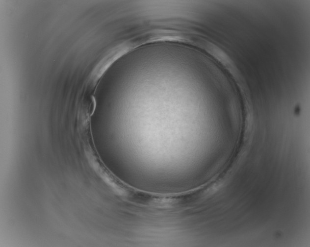 X0000116371377200912231307