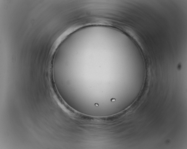 X0000116371379200912231307