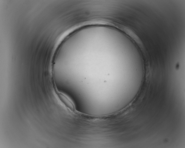 X0000116371380200912231307