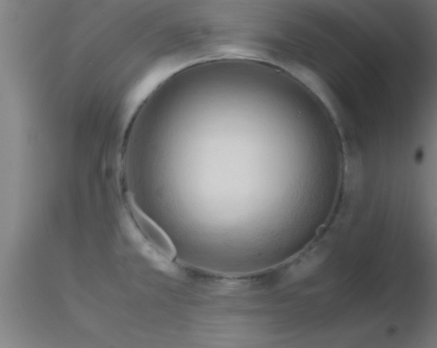 X0000116371381200912231307