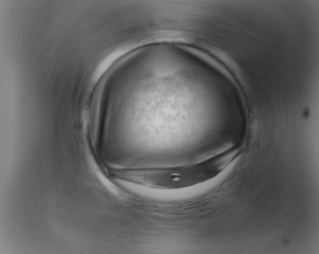 X0000116371383200912231307