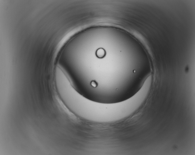 X0000116371384200912231307