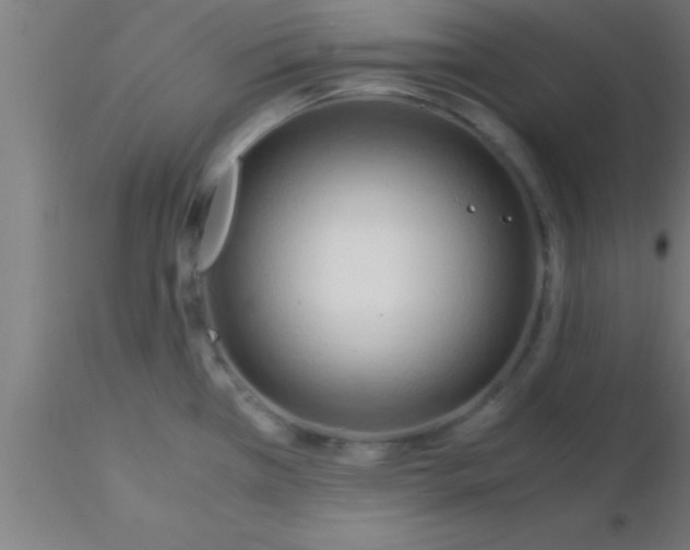 X0000116371385200912231307