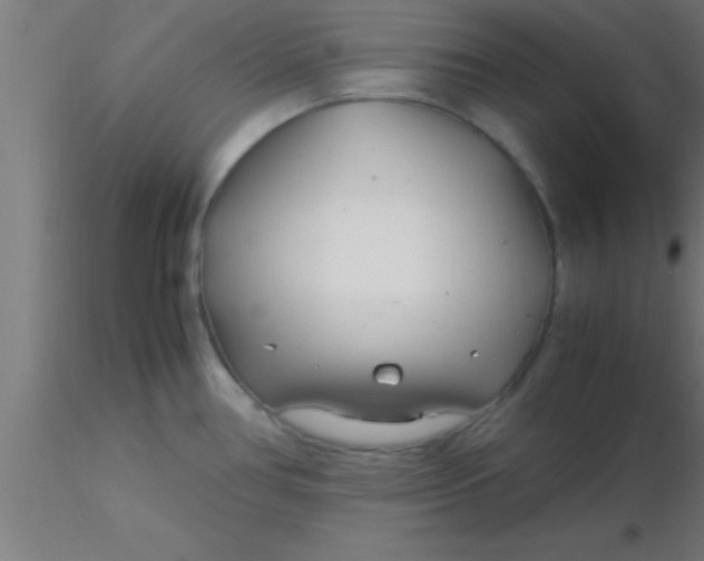 X0000116371386200912231307