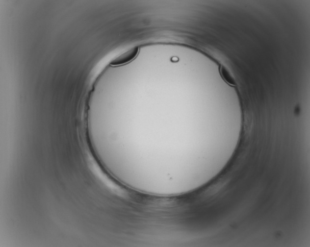 X0000116371387200912231307